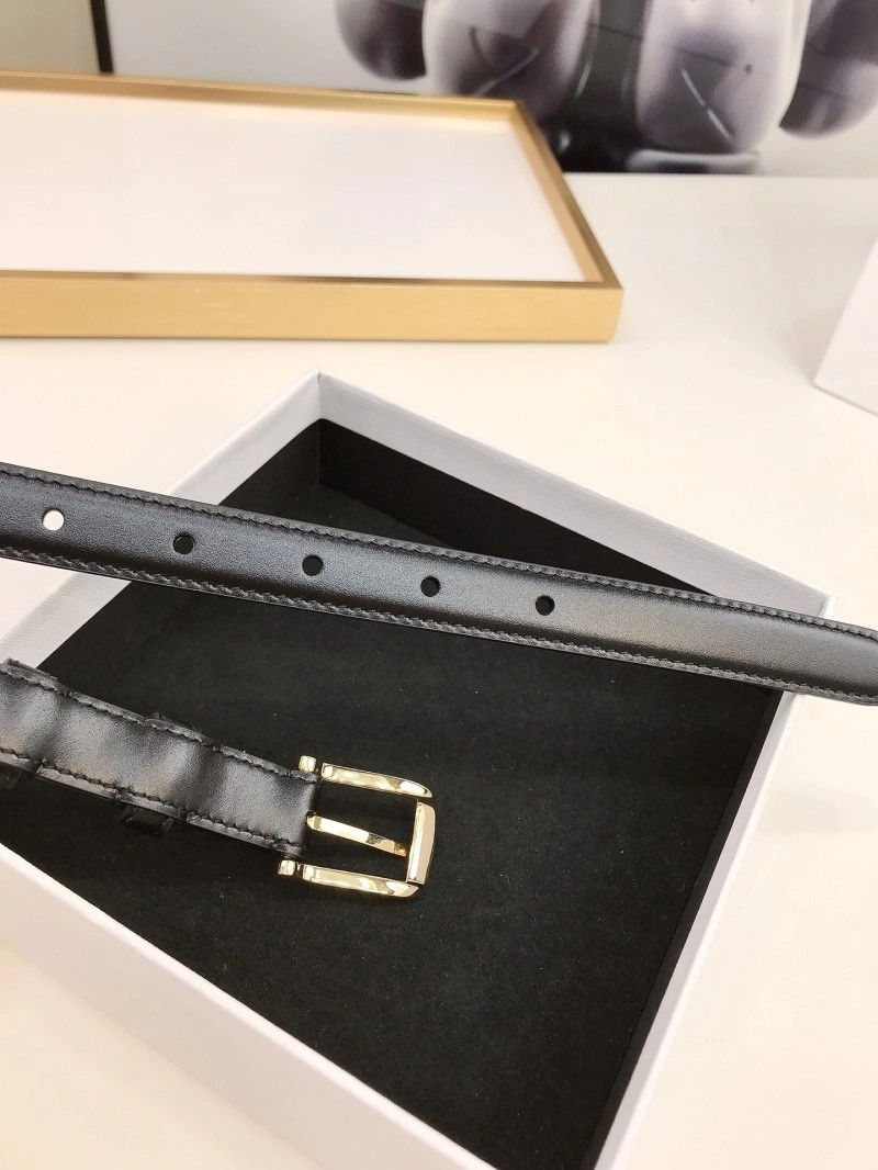 Celine Belts Classic 283761