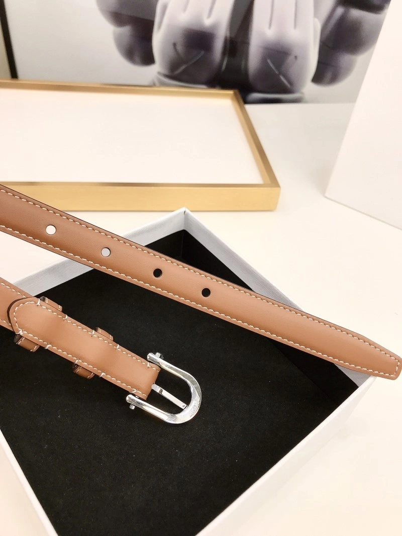 Celine Belts DailyWear 283756