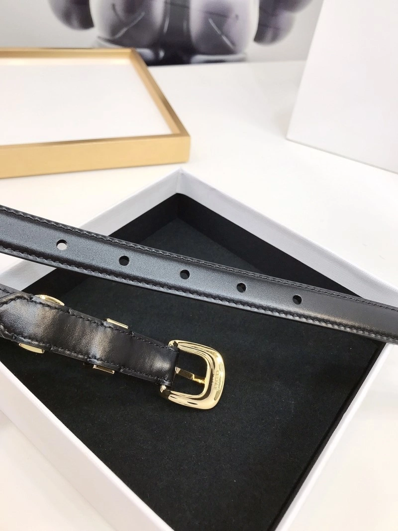 Celine Belts TopPick 283763