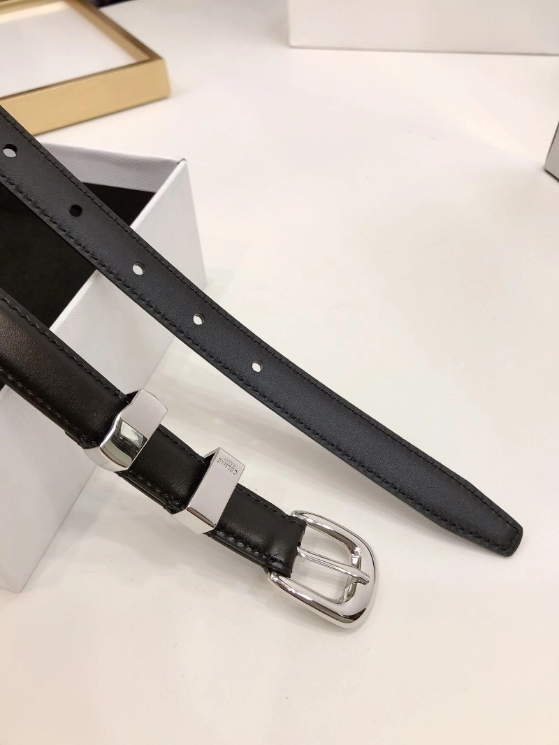 Celine Belts EasyMatch 283748