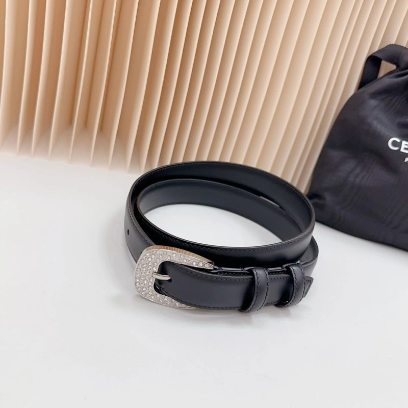 Celine Belts EasyCare 283759