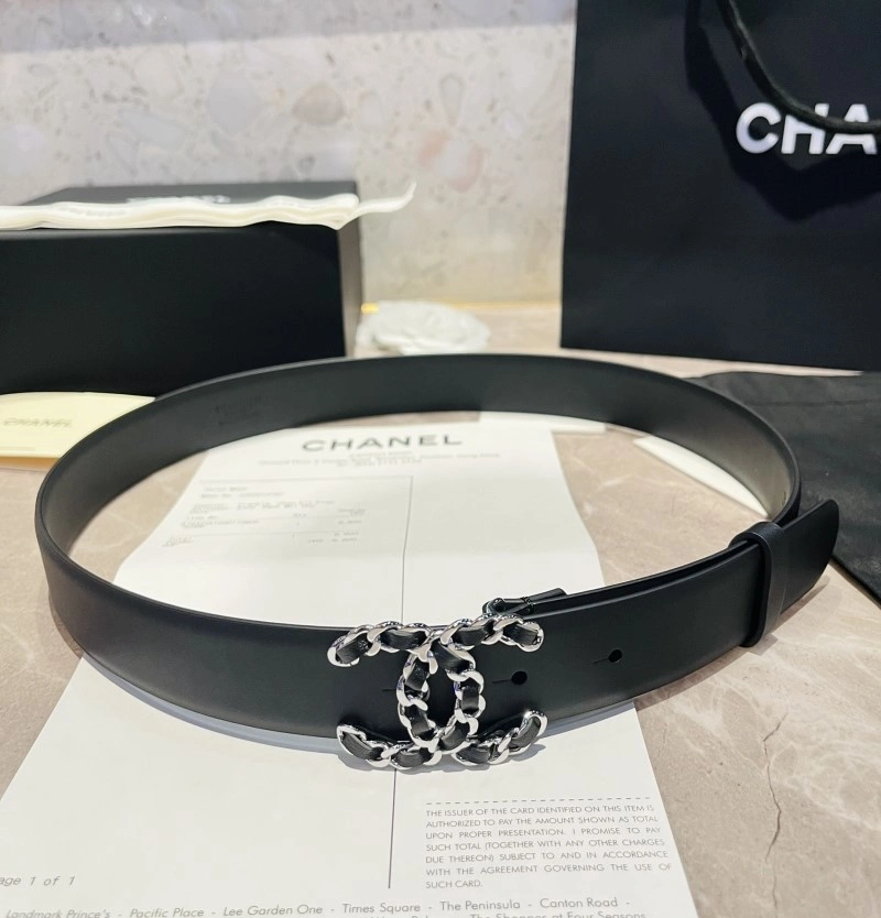 Celine Belts Cozy 283685