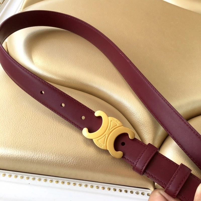 Celine Belts DailyWear 283654