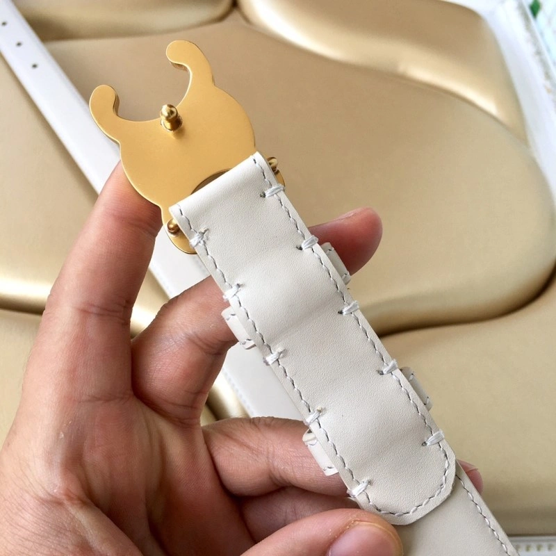 Celine Belts HighPerformance 283669