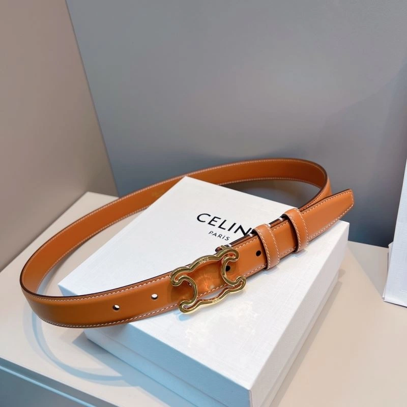 WellDesigned Celine Belts 283840