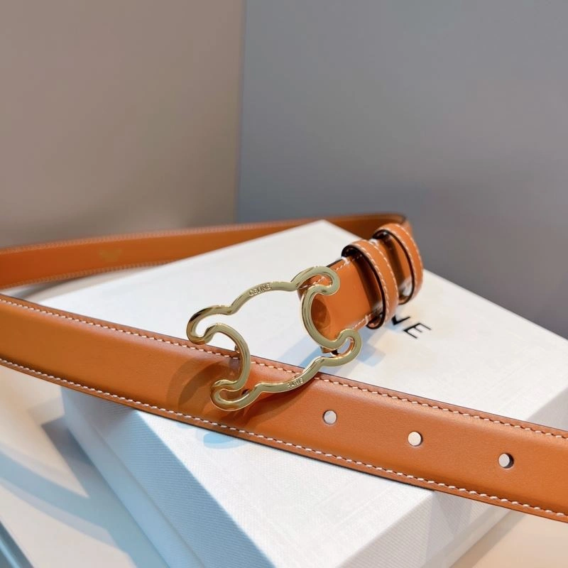 WellDesigned Celine Belts 283840
