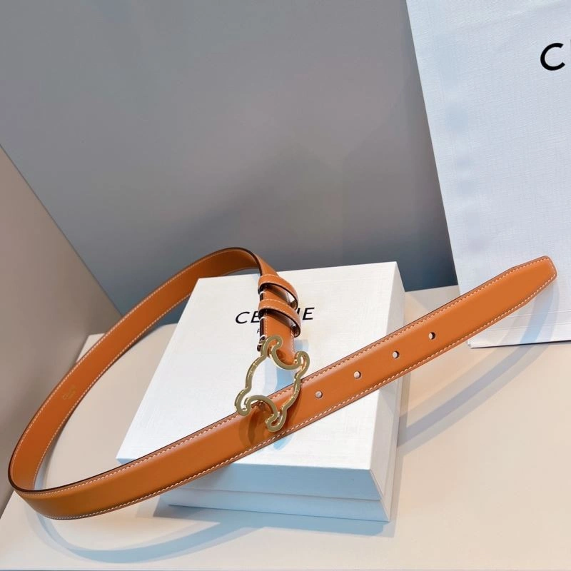 WellDesigned Celine Belts 283840