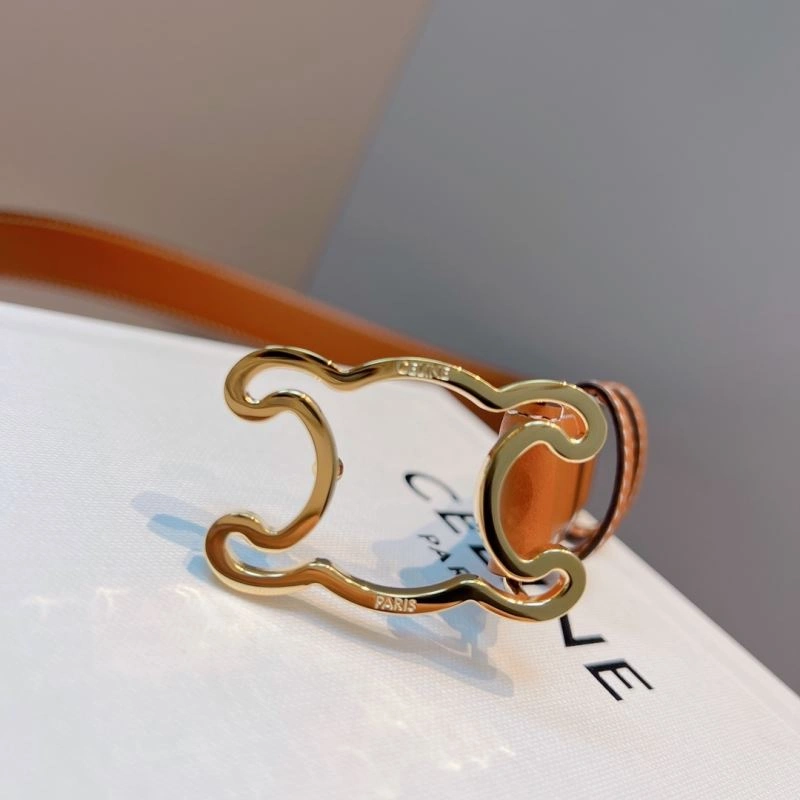 WellDesigned Celine Belts 283840