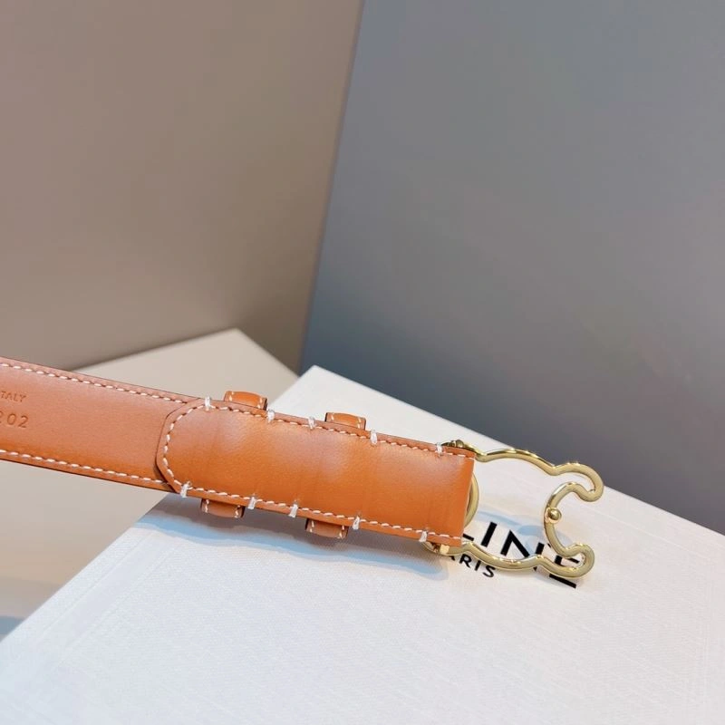 WellDesigned Celine Belts 283840
