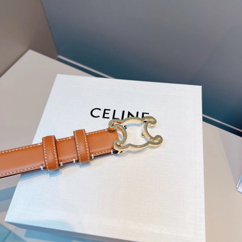WellDesigned Celine Belts 283840