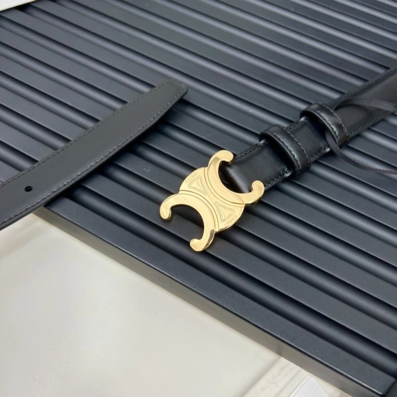 Celine Belts Resilient 283845
