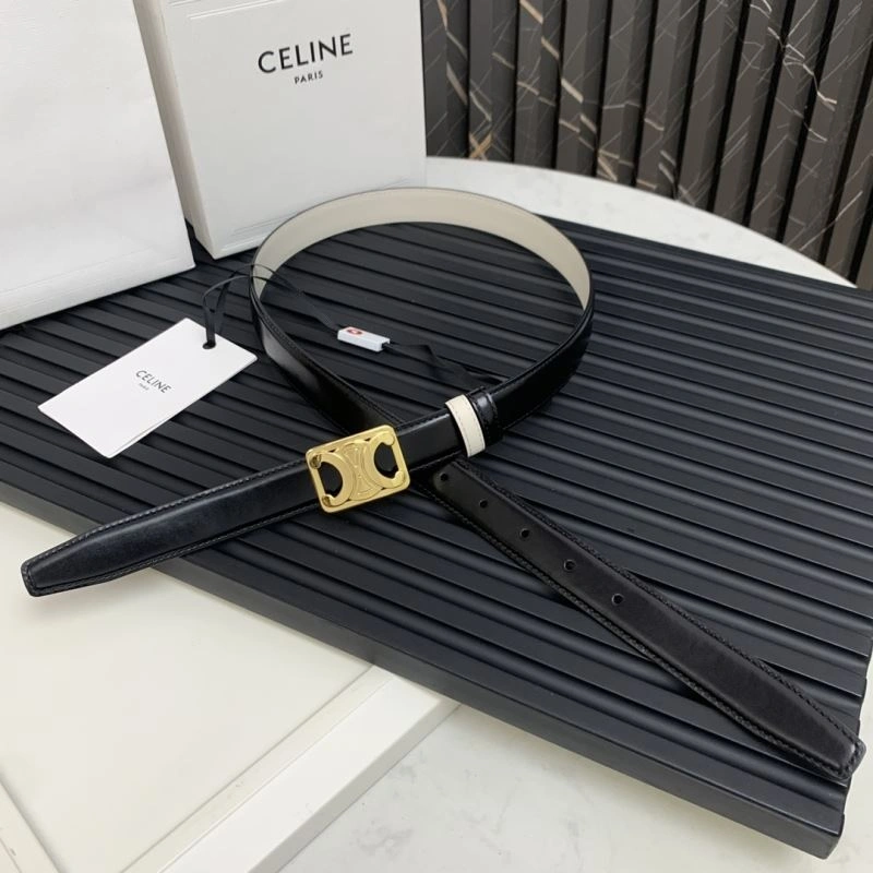MultiPurpose Celine Belts 283844