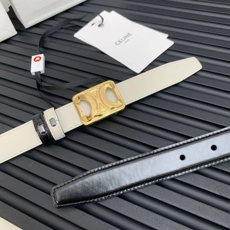 MultiPurpose Celine Belts 283844