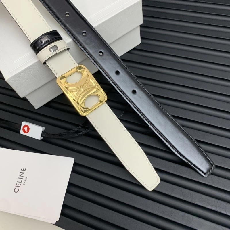 MultiPurpose Celine Belts 283844