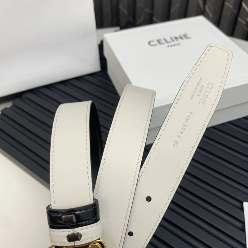 MultiPurpose Celine Belts 283844