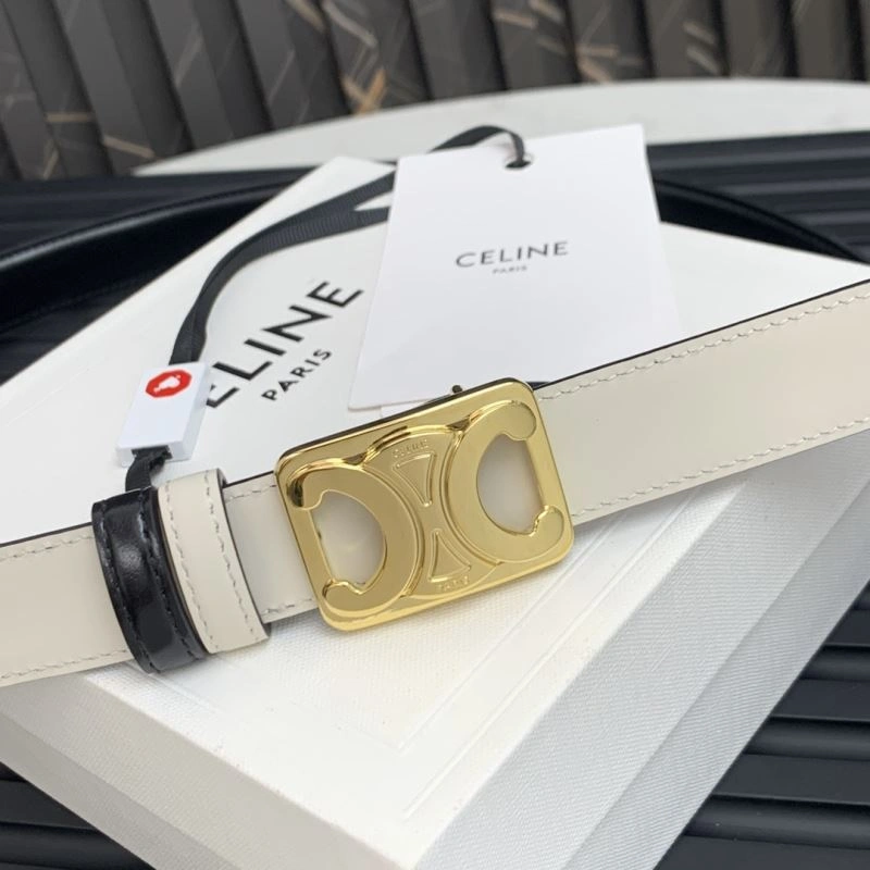 MultiPurpose Celine Belts 283844