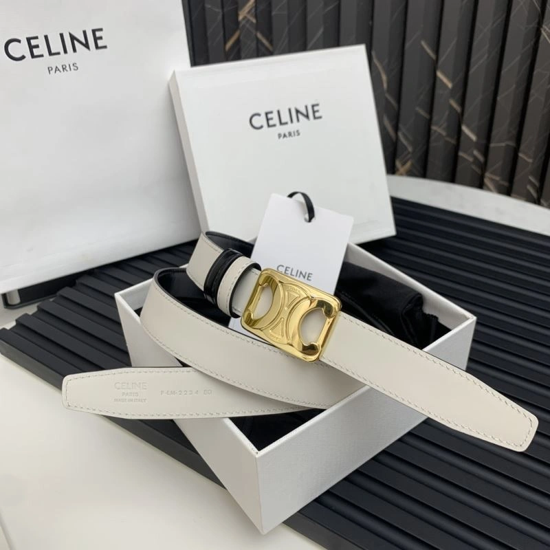 MultiPurpose Celine Belts 283844