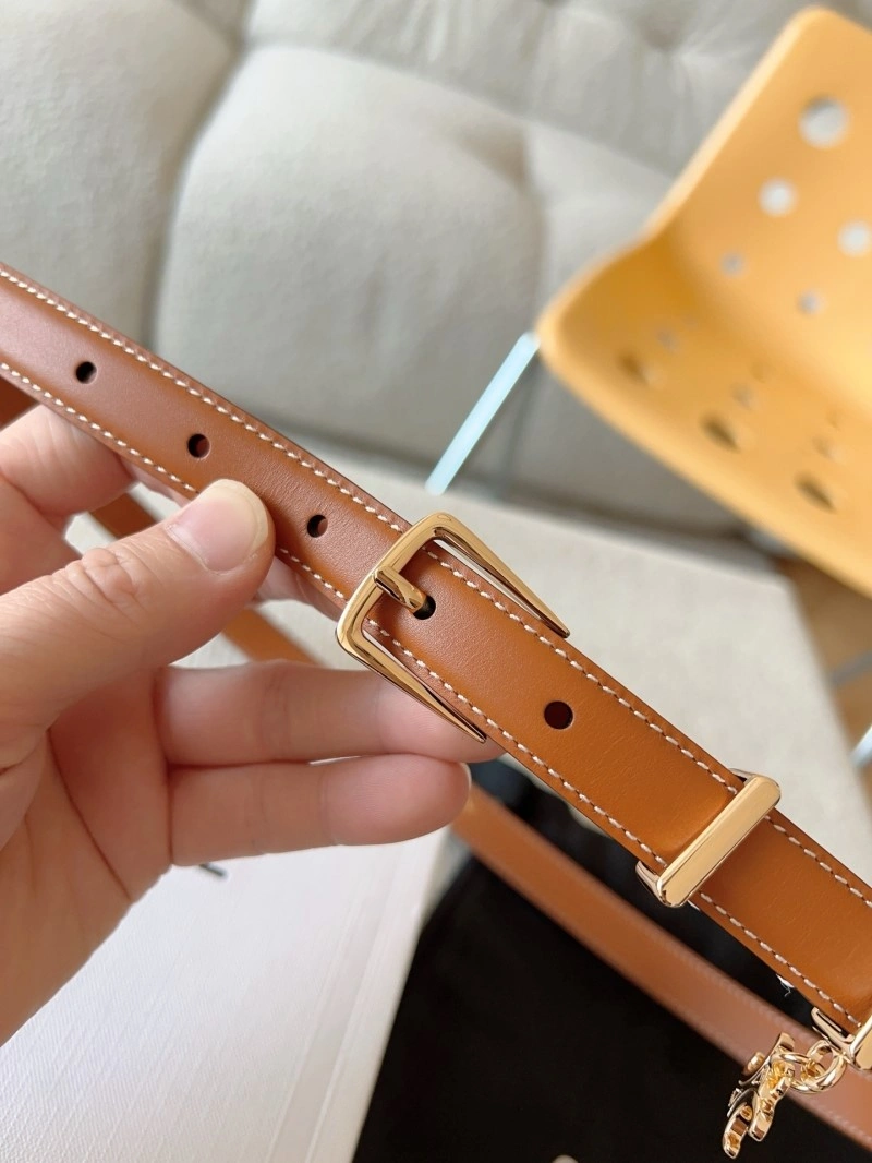 Celine Belts Trendsetting 283644