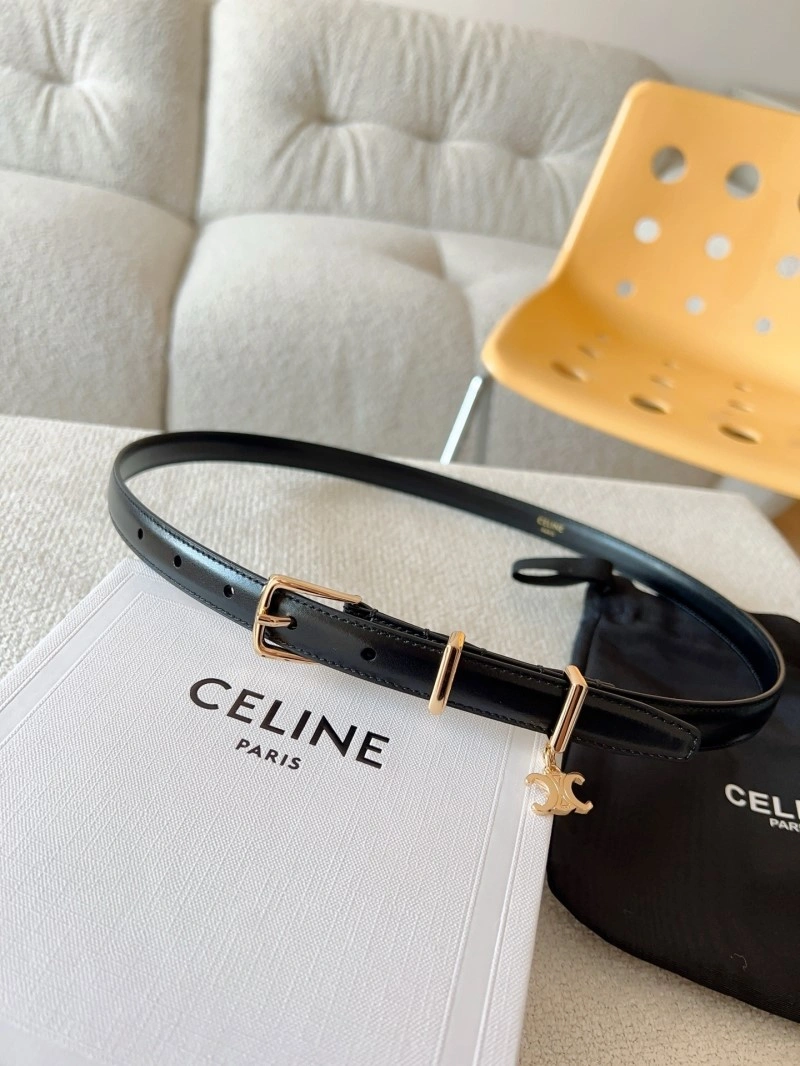 MultiPurpose Celine Belts 283643