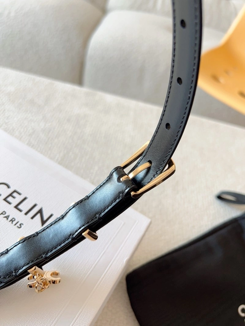 MultiPurpose Celine Belts 283643