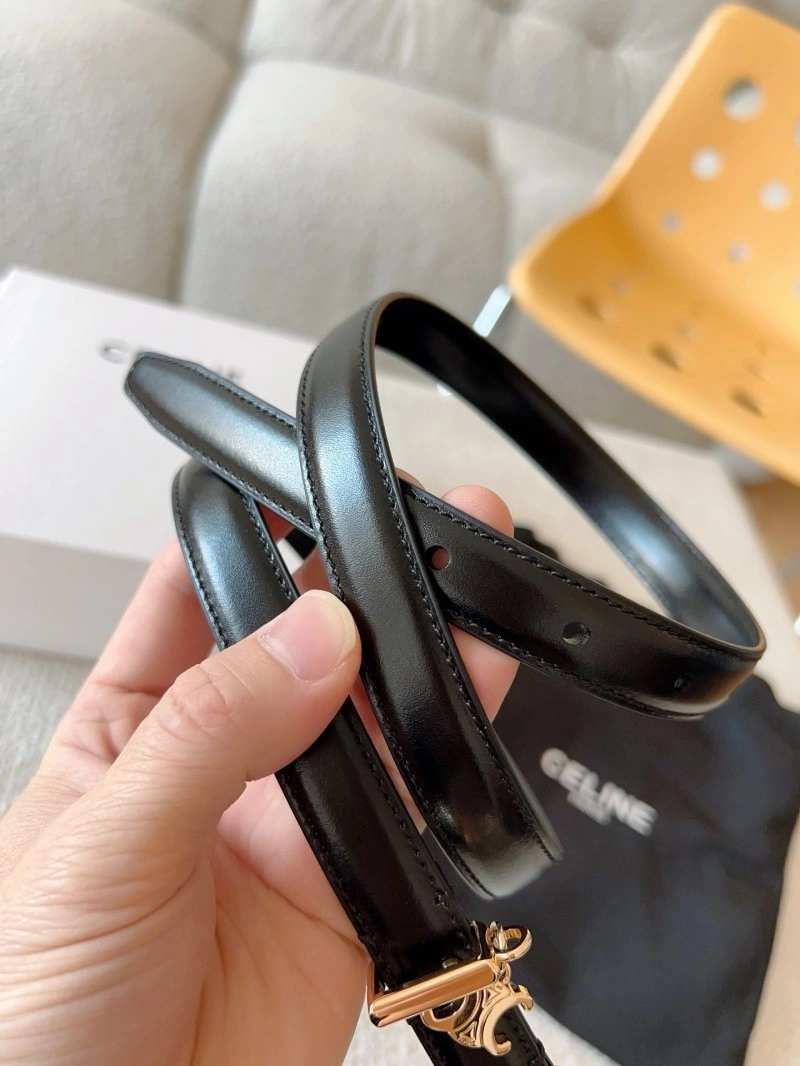 MultiPurpose Celine Belts 283643