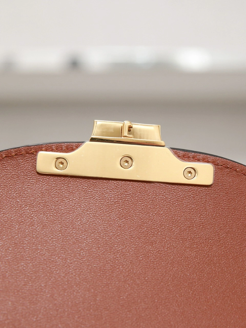 Premium Celine Besace Bags 78540