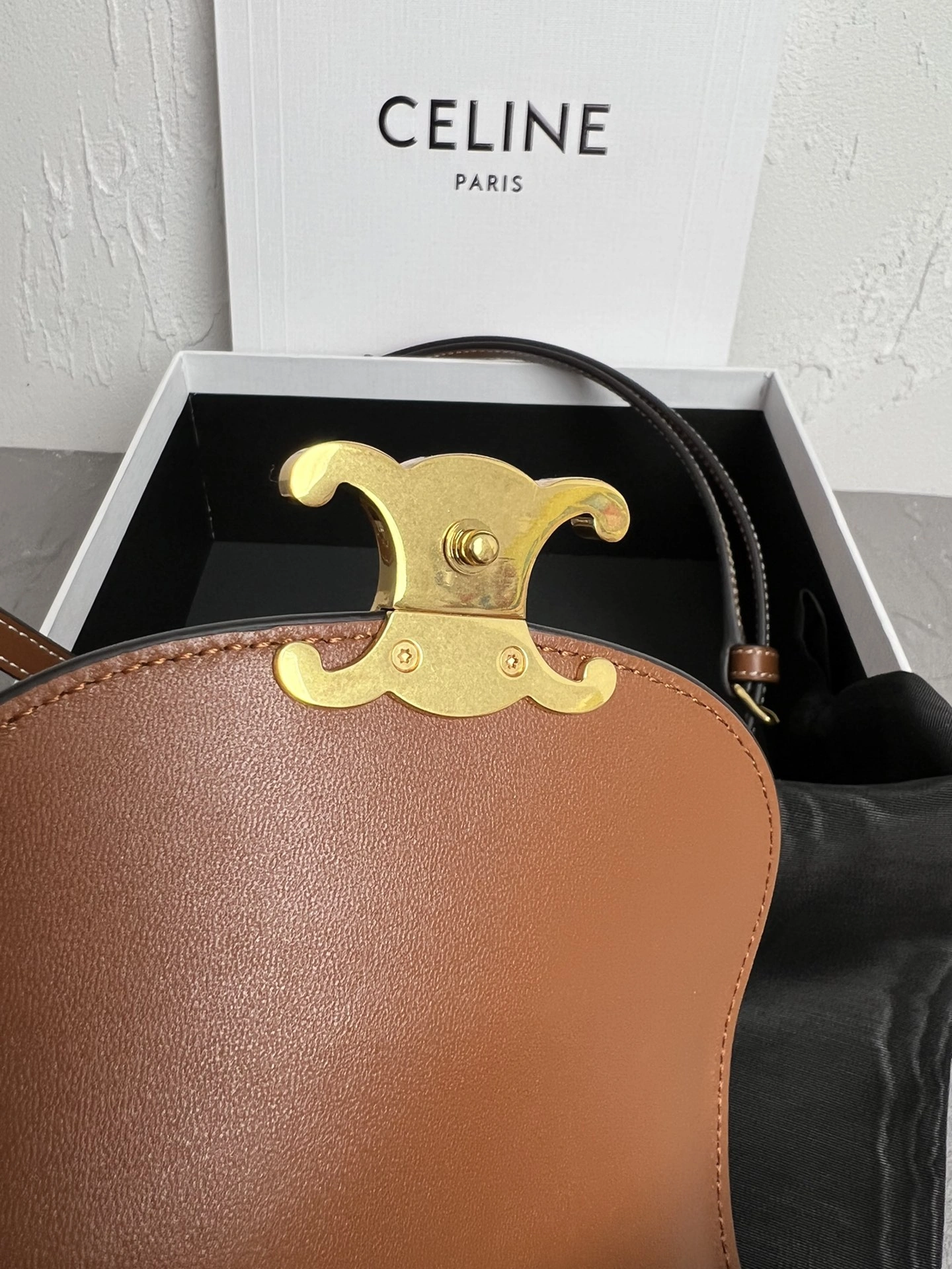 Resilient Celine Besace Bags 78518