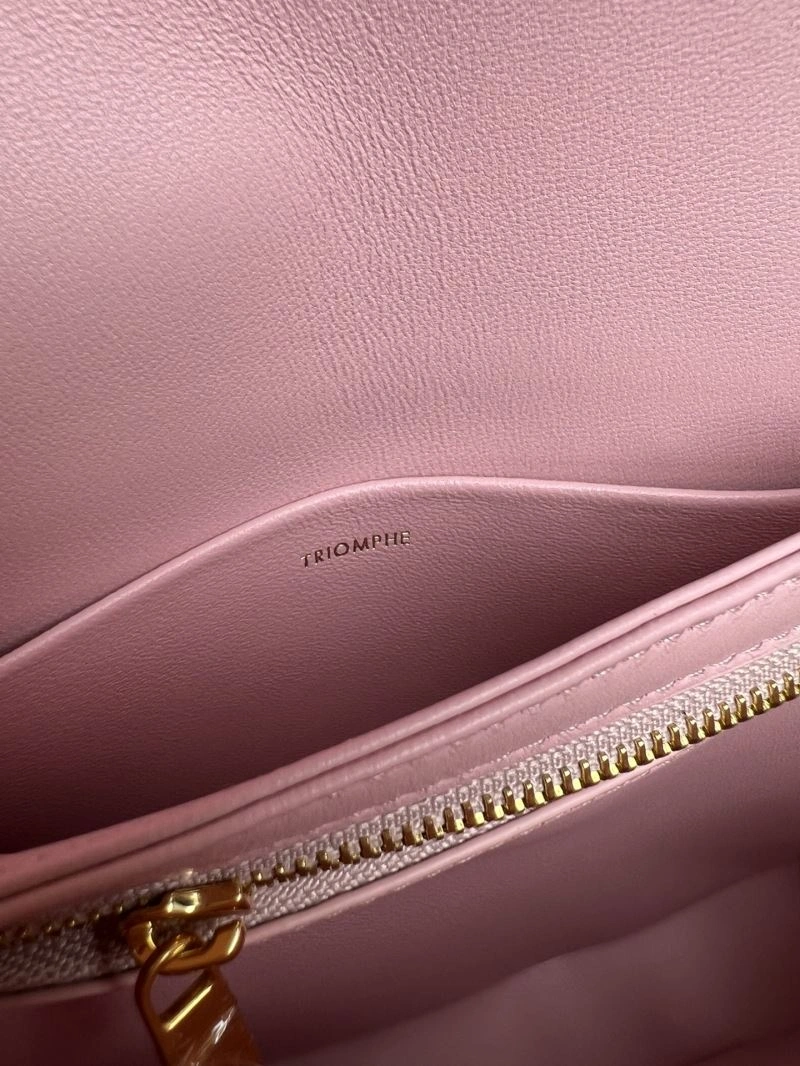Colorful Celine Besace Bags 77275