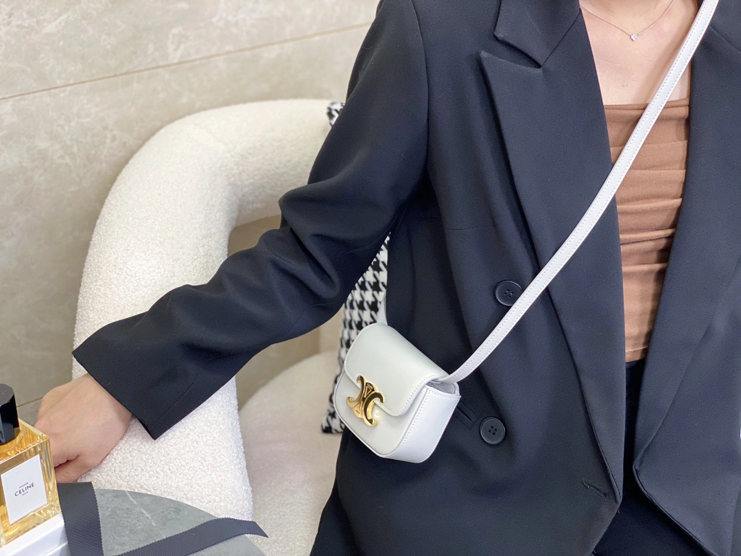 Celine Besace Bags ZipUp 94680