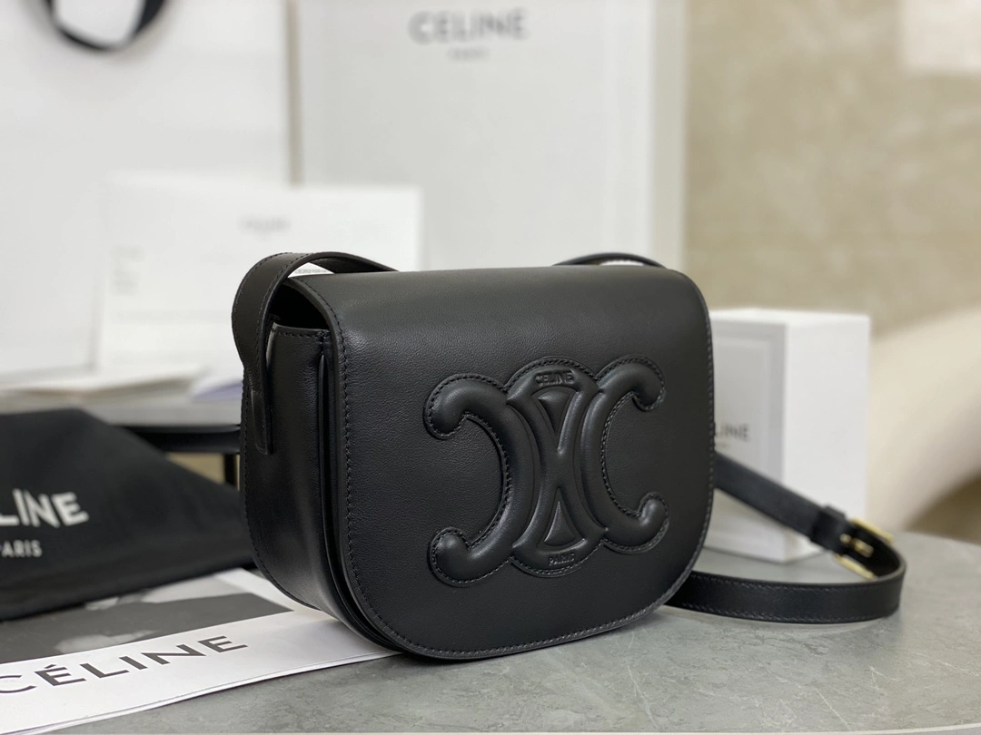 AllSeason Celine Besace Bags 94752