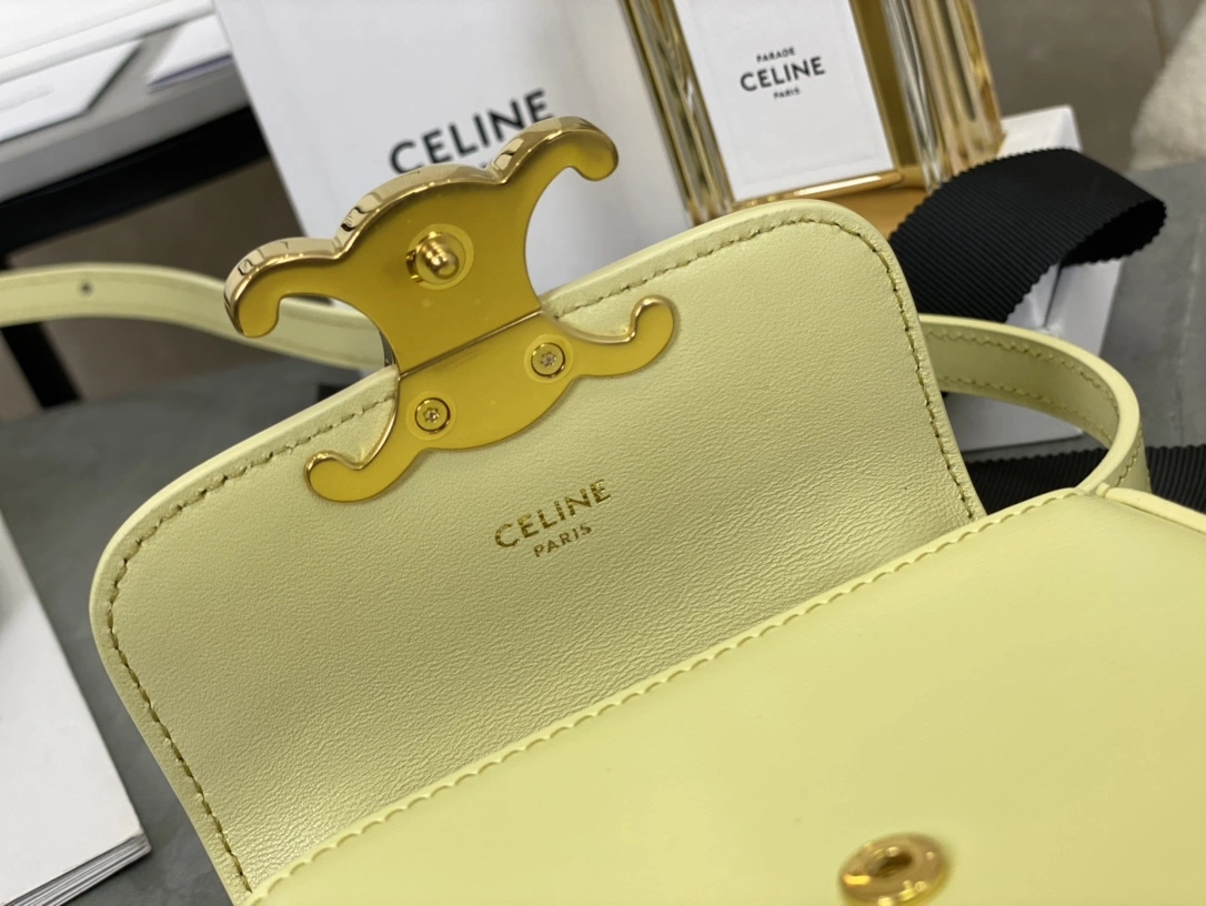 Stretchable Celine Besace Bags 94716