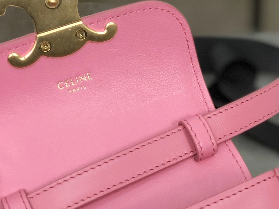 Celine Besace Bags TopPick 94663