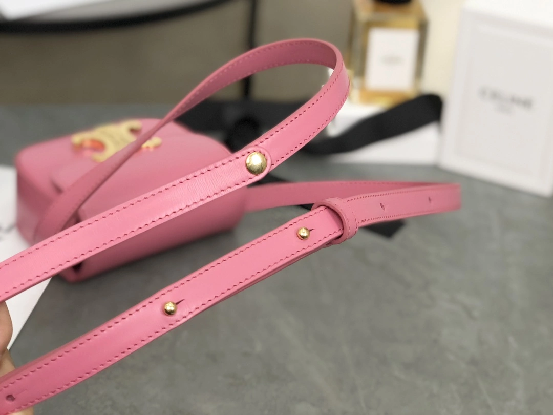 Celine Besace Bags TopPick 94663