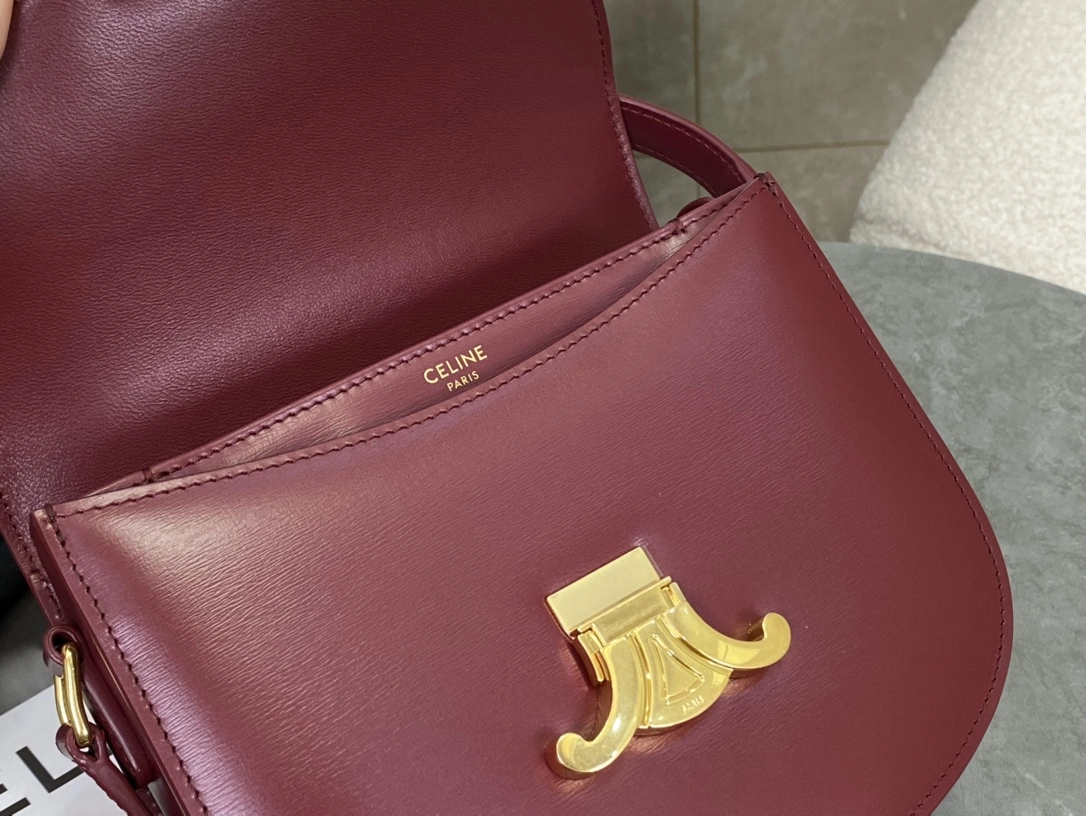 Celine Besace Bags Functional 94647