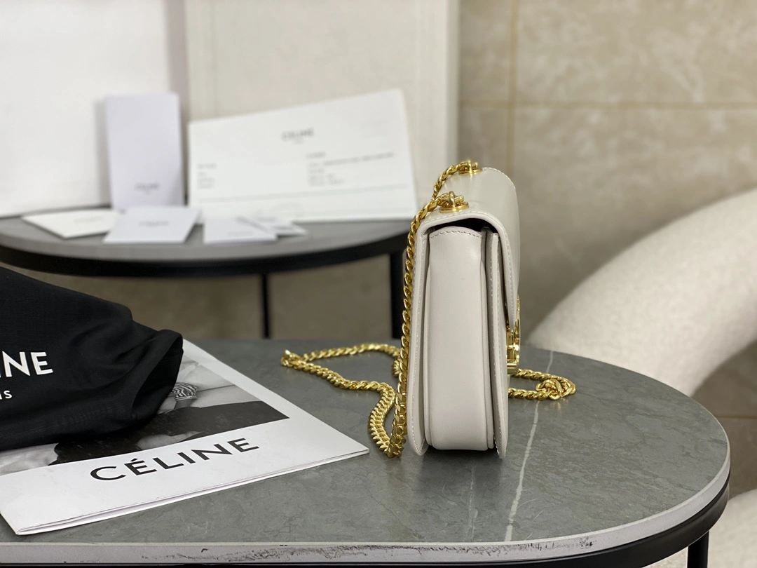 Celine Besace Bags SunProtective 94656