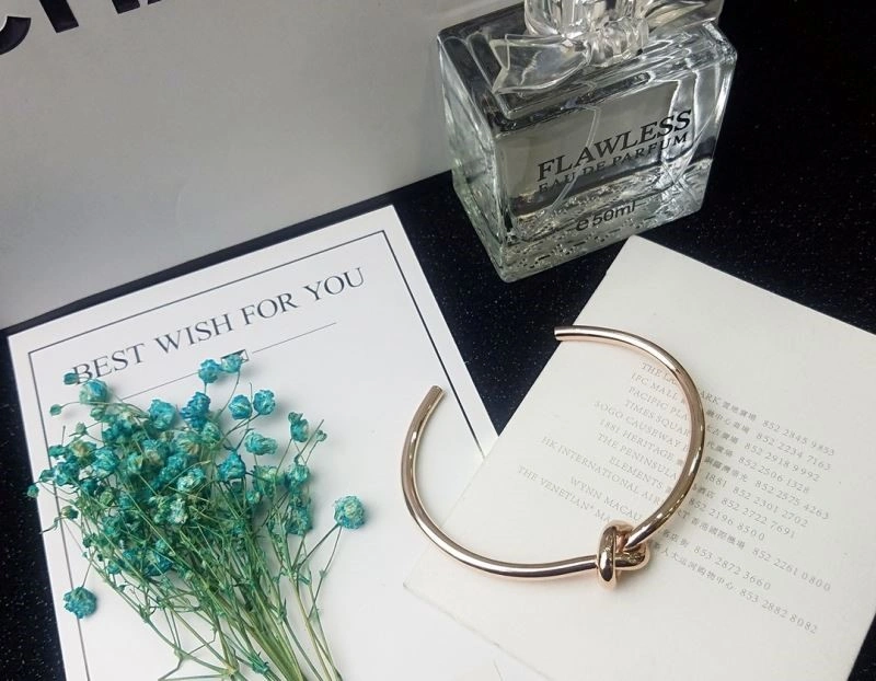 Celine Bracelets AllSeason 218108