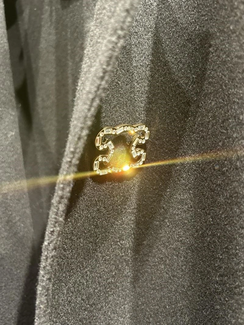 ZeroBulk Celine Brooches 218296