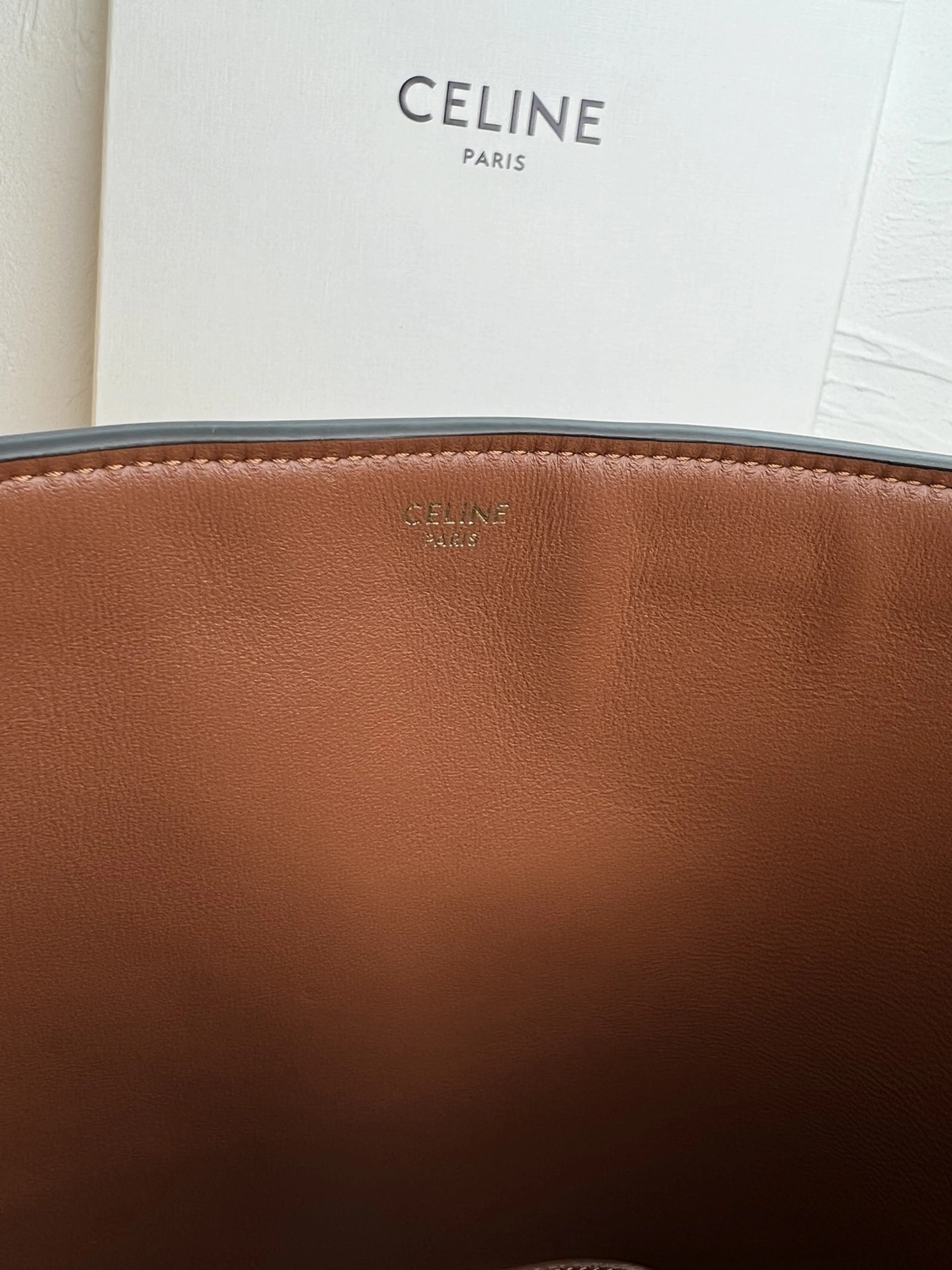 Trendsetting Celine Bucket Bags 71822