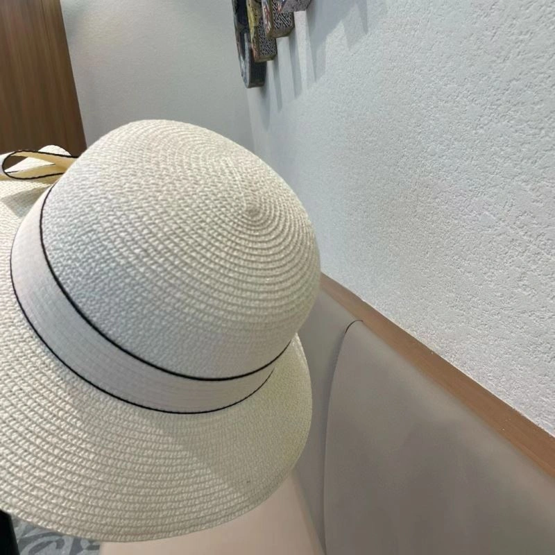 Efficient Celine Caps 262455