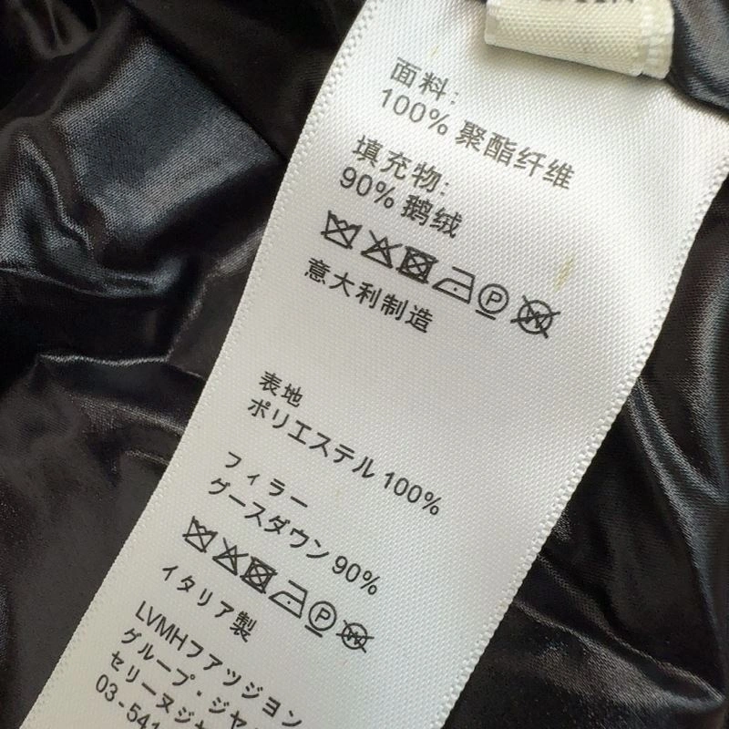 Celine Down Jackets Sporty 107529