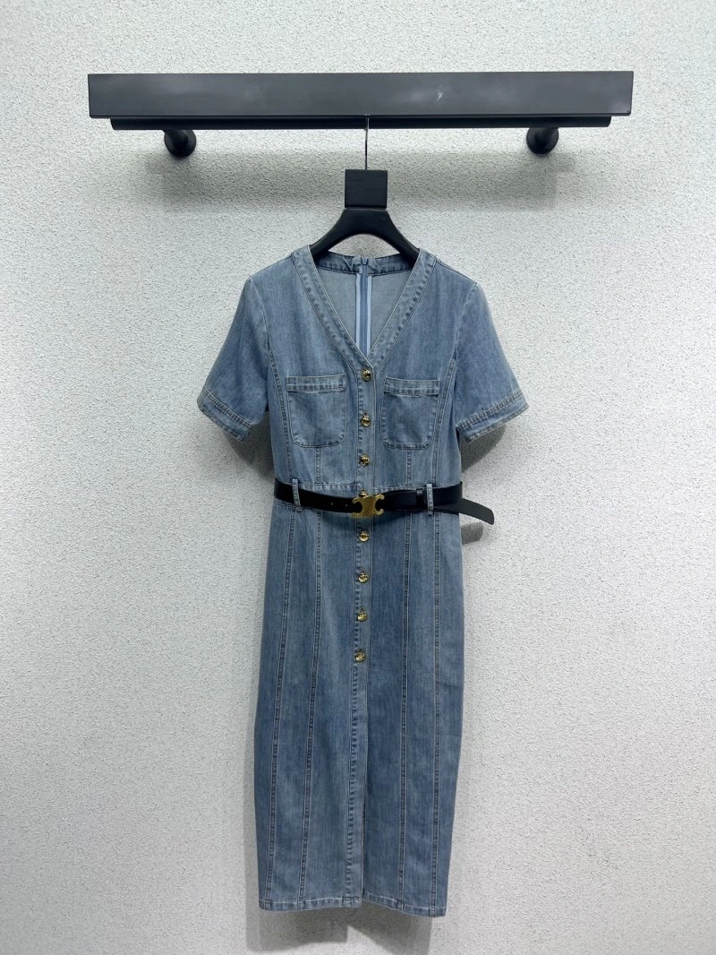 Stylish Celine Dress 106993