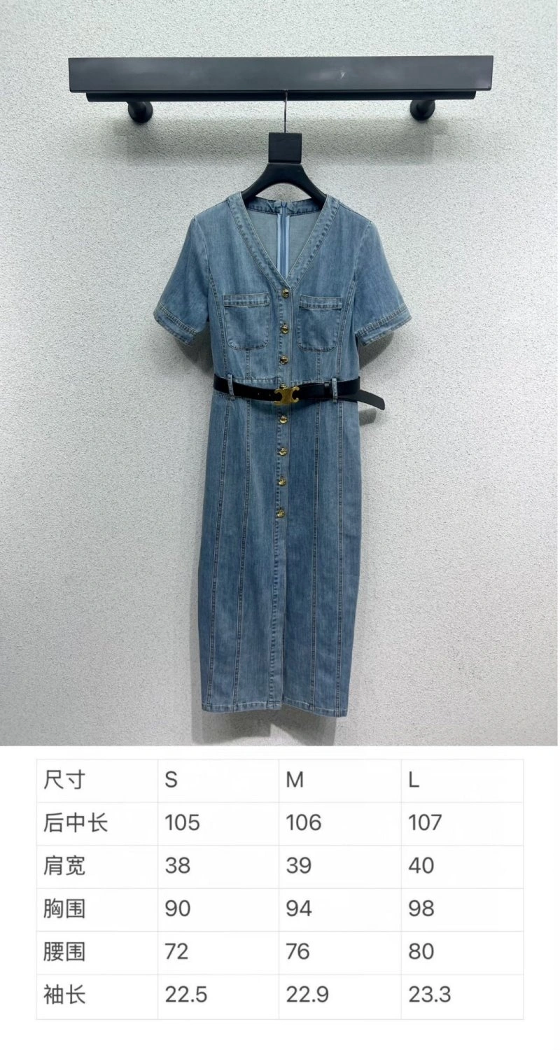 Stylish Celine Dress 106993