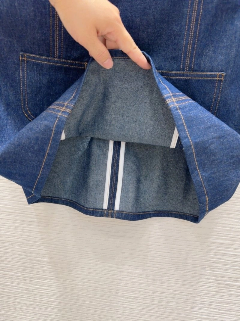 Celine Dress WrinkleFree 107026