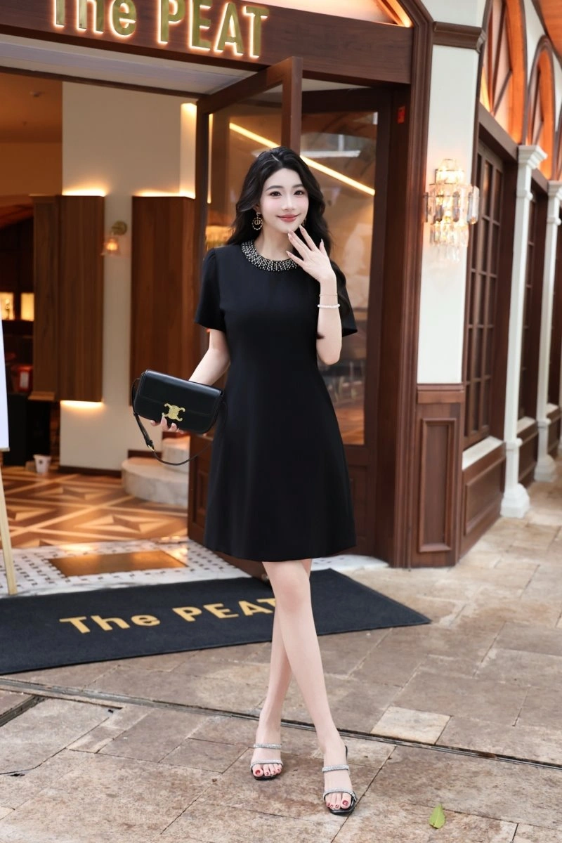 Celine Dress Chic 107284