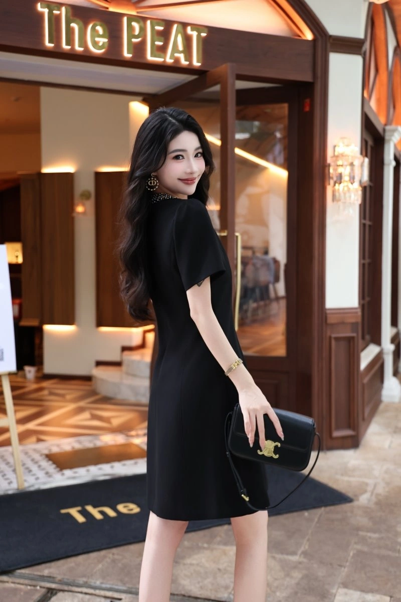 Celine Dress Chic 107284