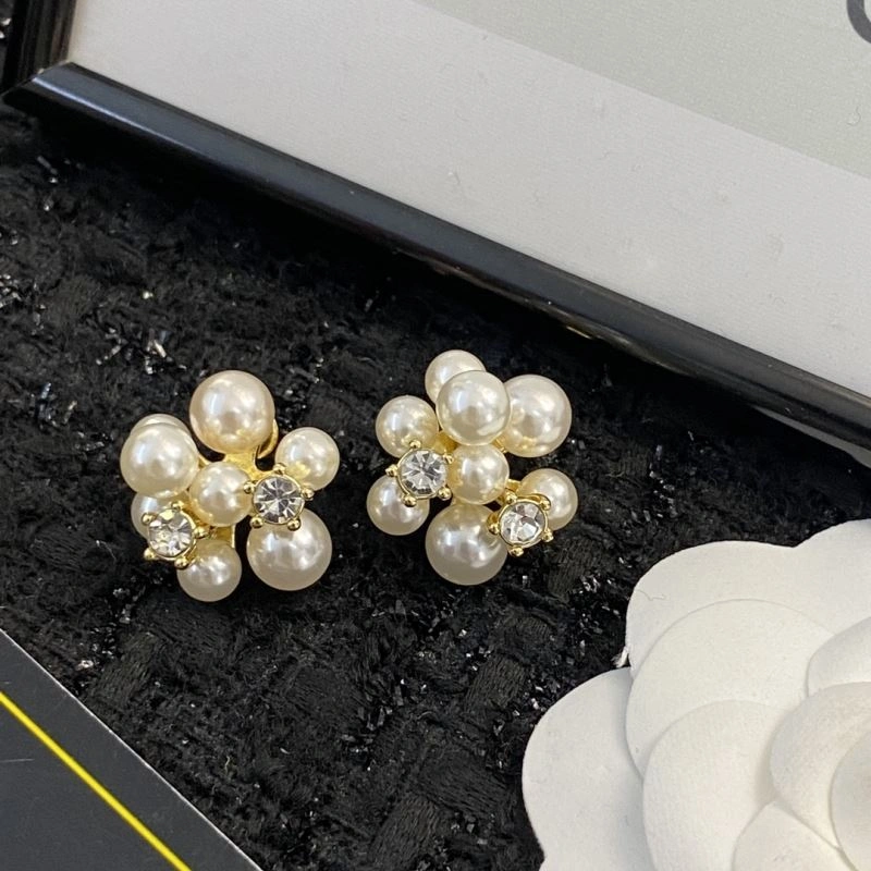 Celine Earrings GoAnywhere 218670