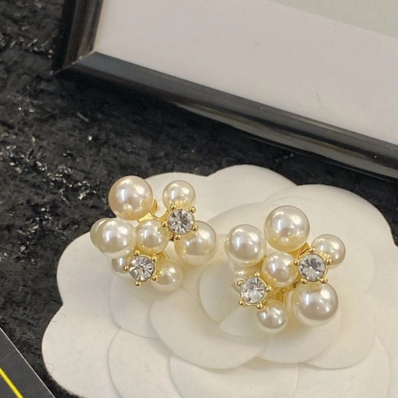 Celine Earrings GoAnywhere 218670