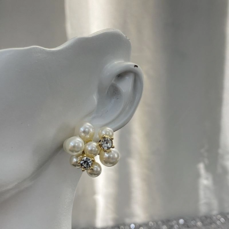 Celine Earrings GoAnywhere 218670