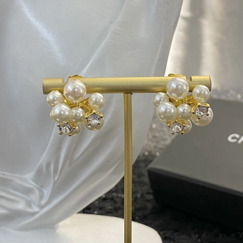 Celine Earrings GoAnywhere 218670