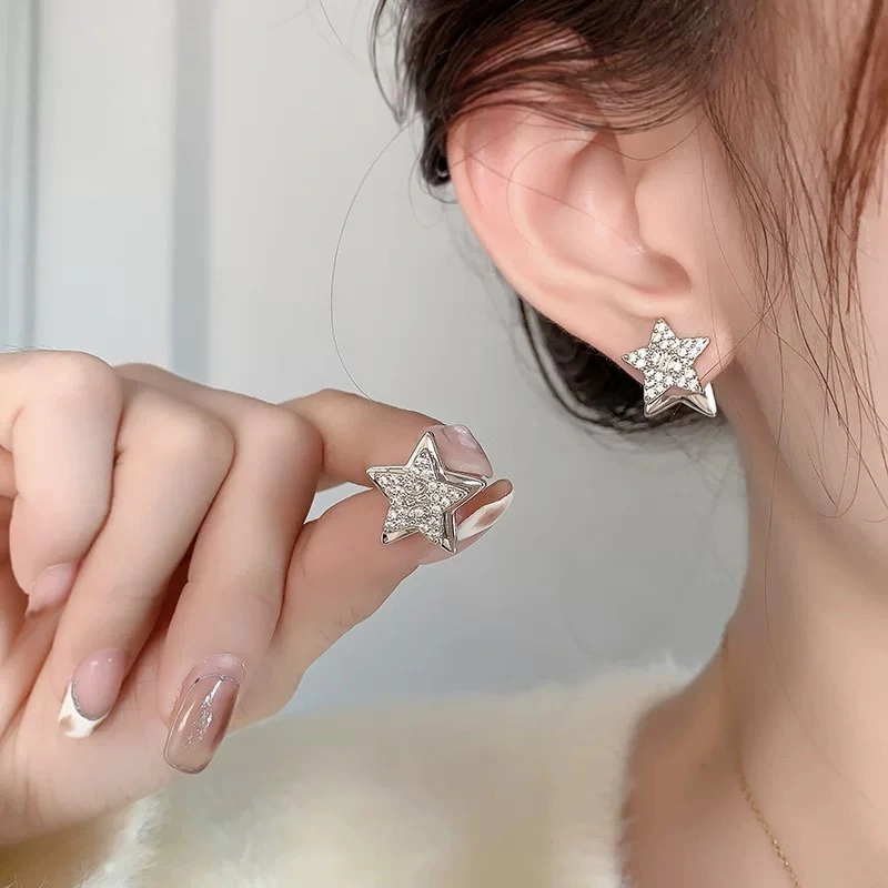 TravelReady Celine Earrings 218607